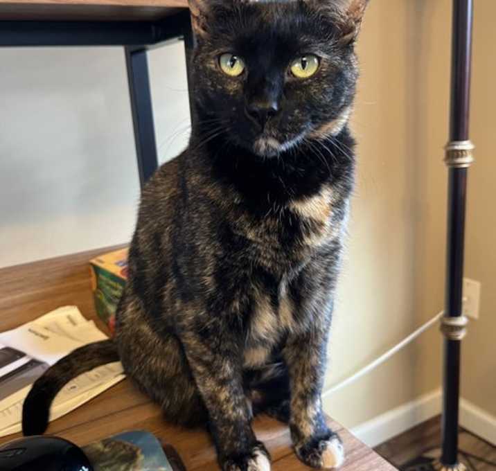 Photo of Shelly