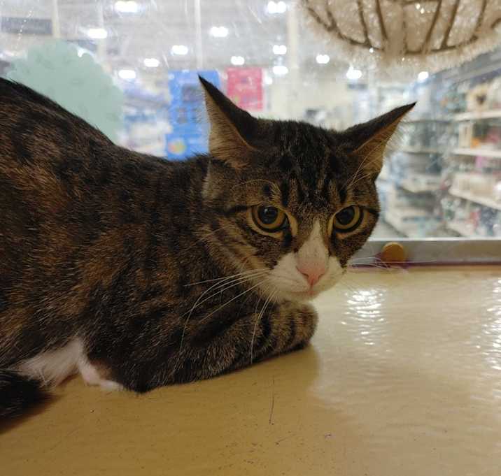 Photo of Sugar