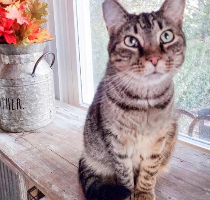 Photo of Bubba