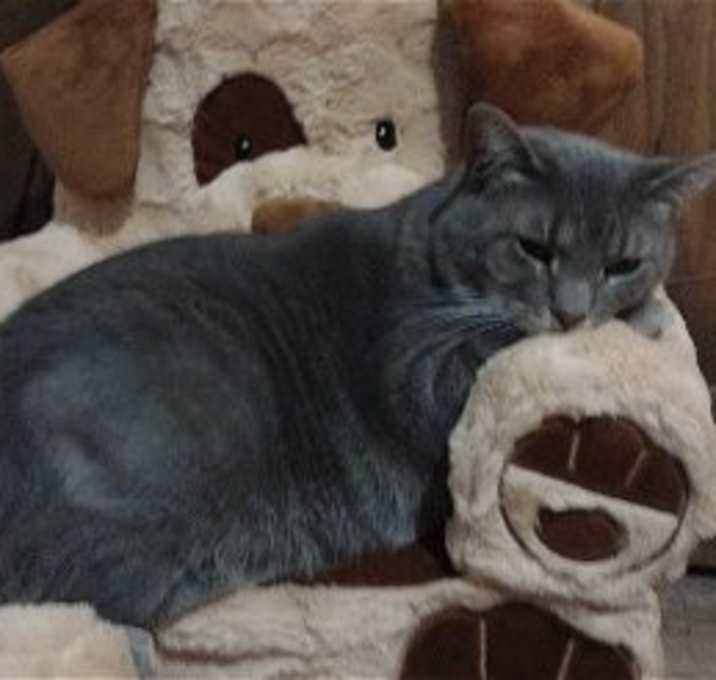 Photo of Carlita