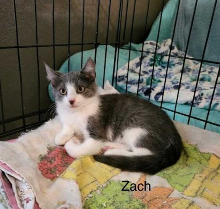 Photo of Zack