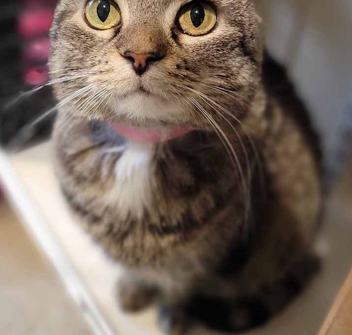 Photo of Missy