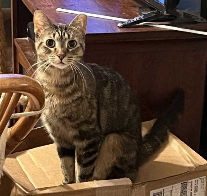 Photo of Asha