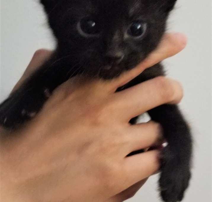 Photo of Bob