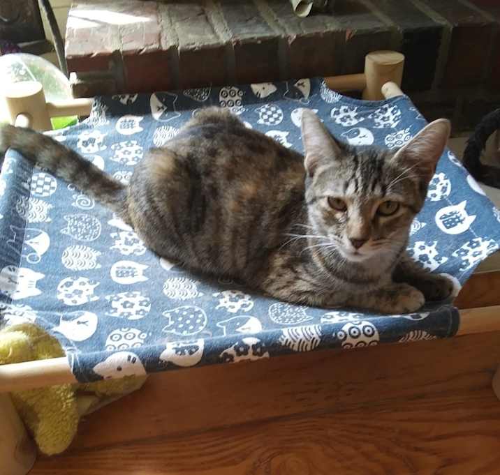 Photo of Elsa