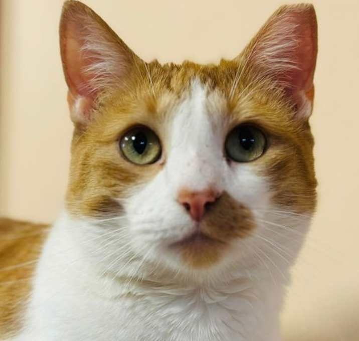 Photo of Jake