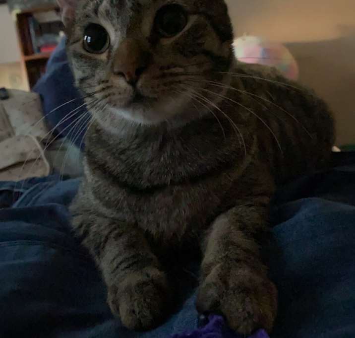 Photo of Moe