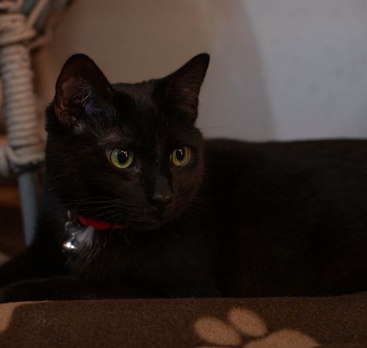 Photo of Gwendolyn