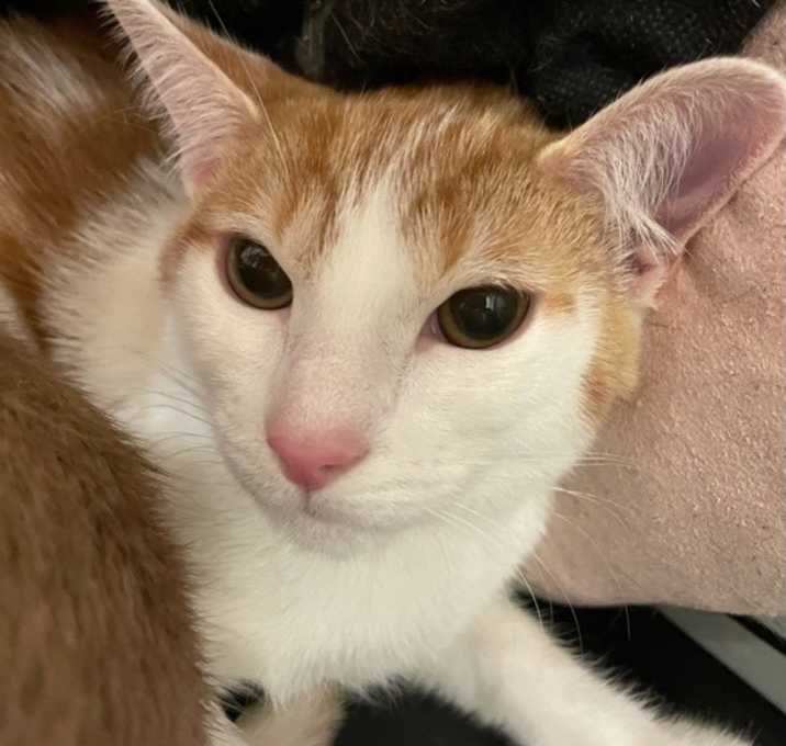 Photo of Ashley