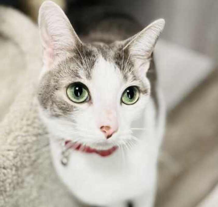 Photo of Morgana