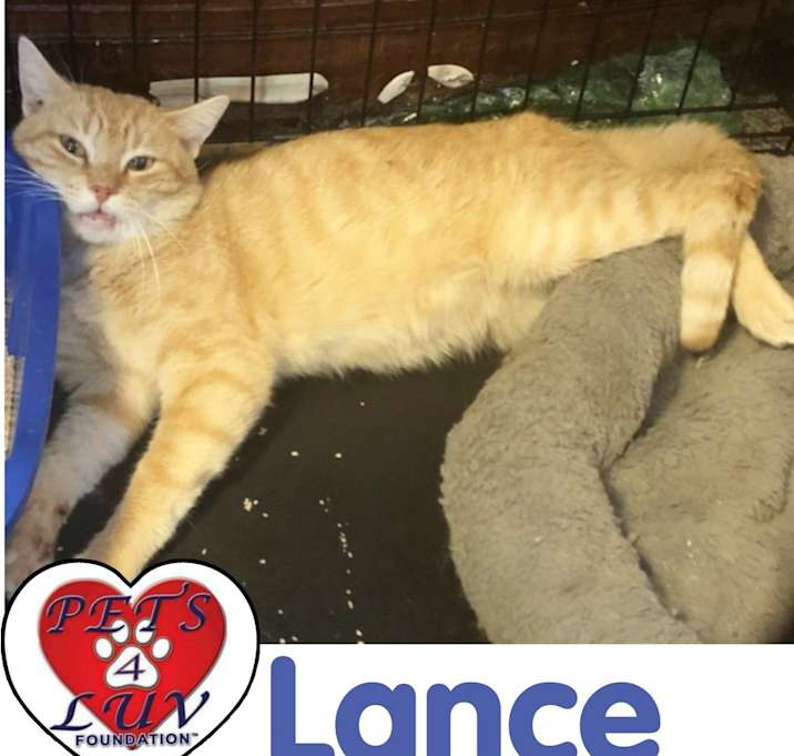Photo of Lance