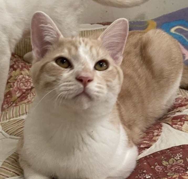 Photo of Jerry
