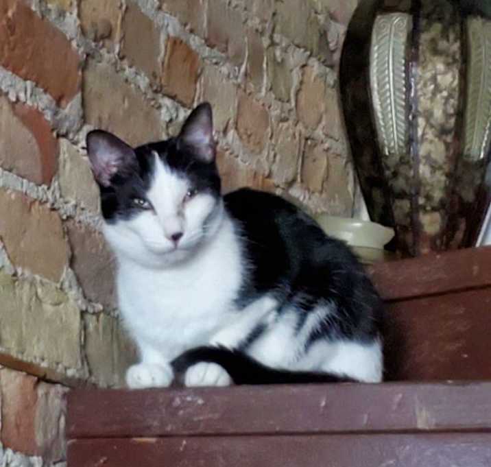 Photo of Angel