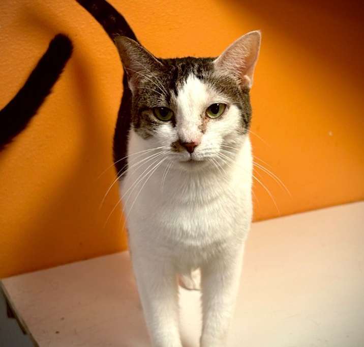 Photo of Endora