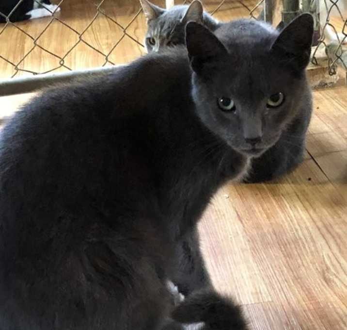 Photo of Flash