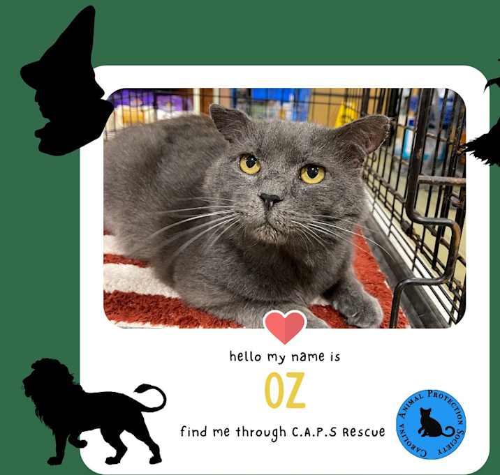 Photo of OZ