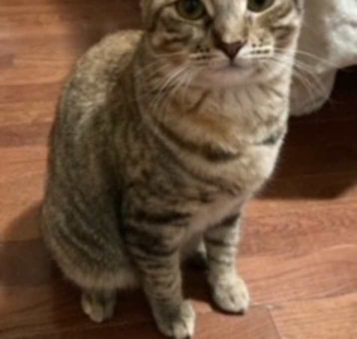 Photo of April