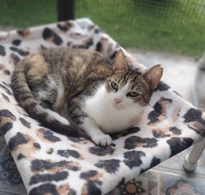 Photo of Ori