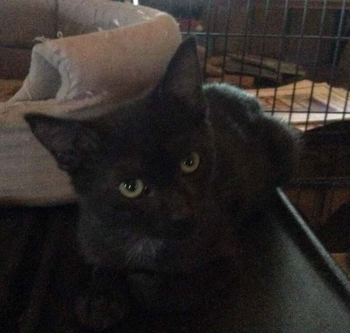 Photo of MONTE