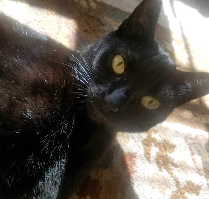 Photo of Mama
