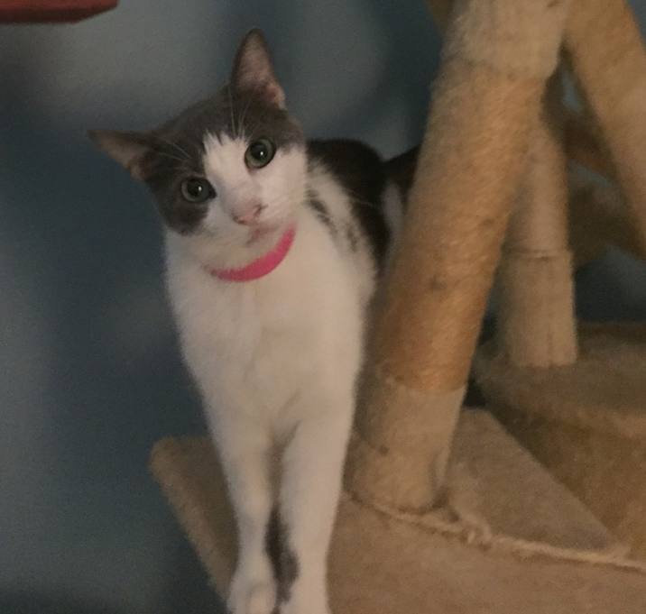 Photo of Bebe
