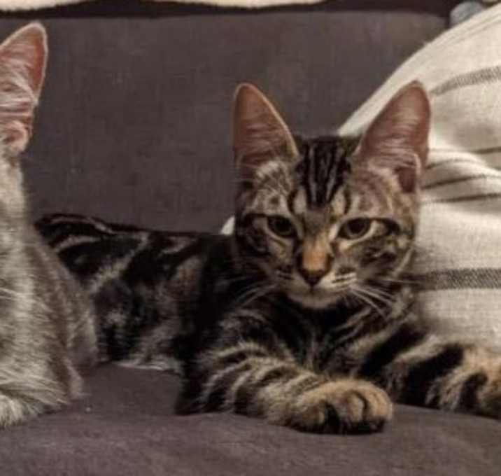 Photo of Cassy mama & her baby Teagan