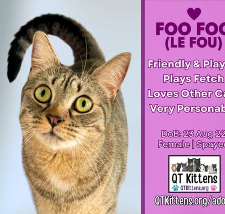 Photo of Foo Foo (Le Fou)