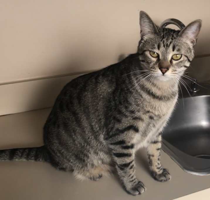 Photo of Kiki