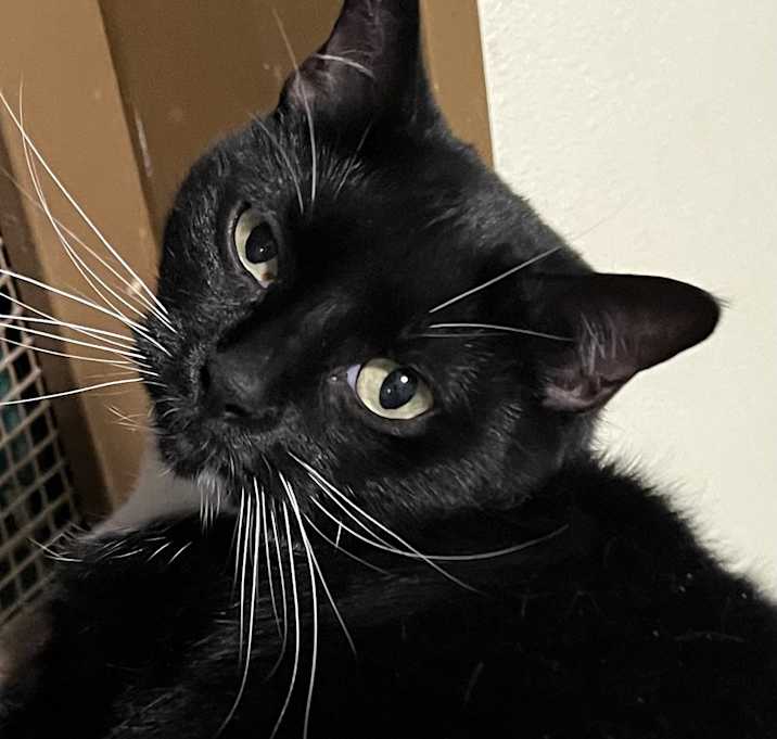 Photo of Sally Jane