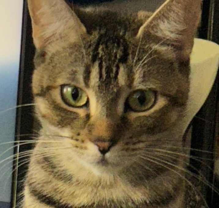 Photo of Tiggy