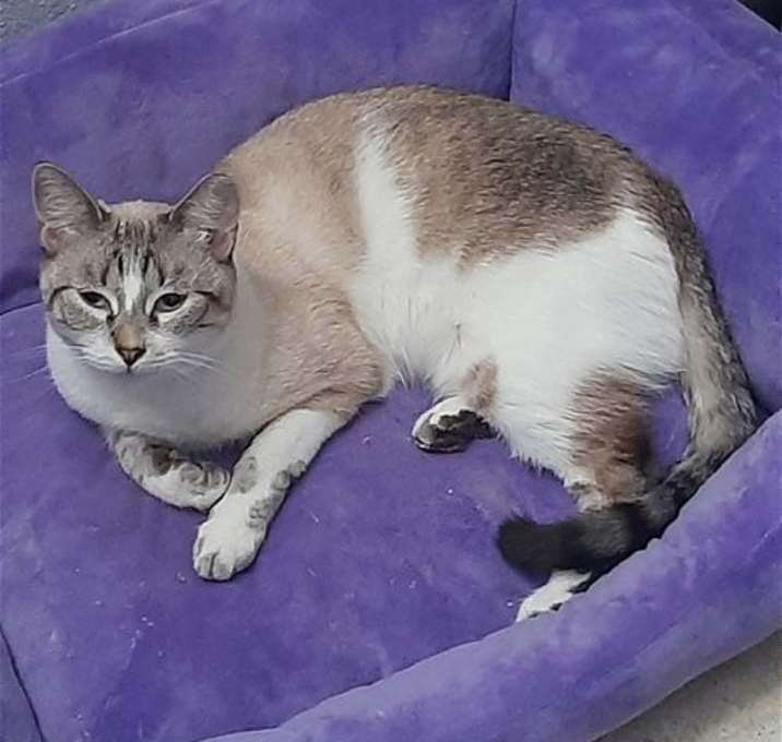 Photo of Charm