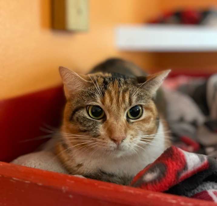 Photo of Sarah