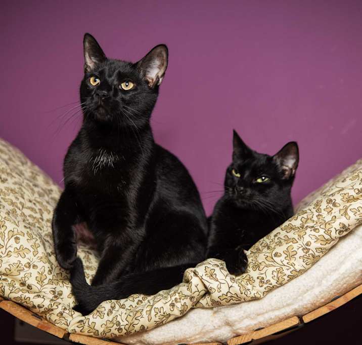 Photo of Precious