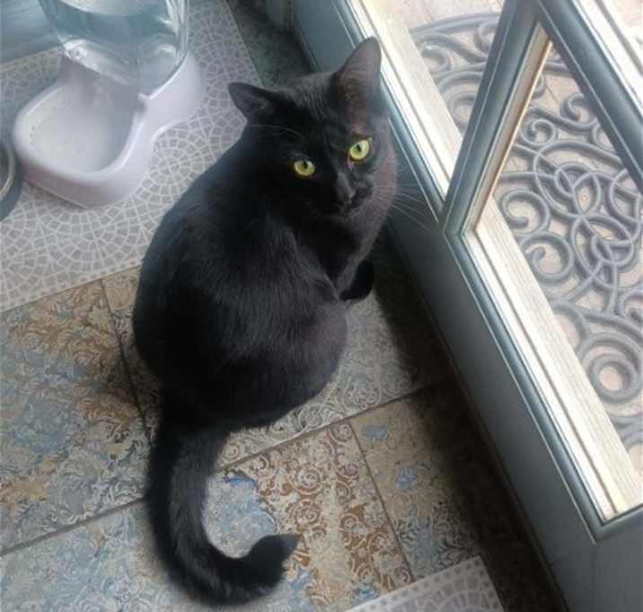 Photo of Lucky