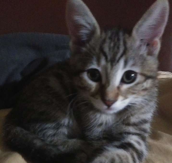 Photo of Jasmine