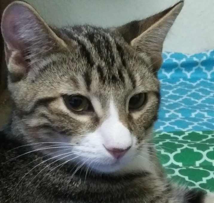 Photo of Leo