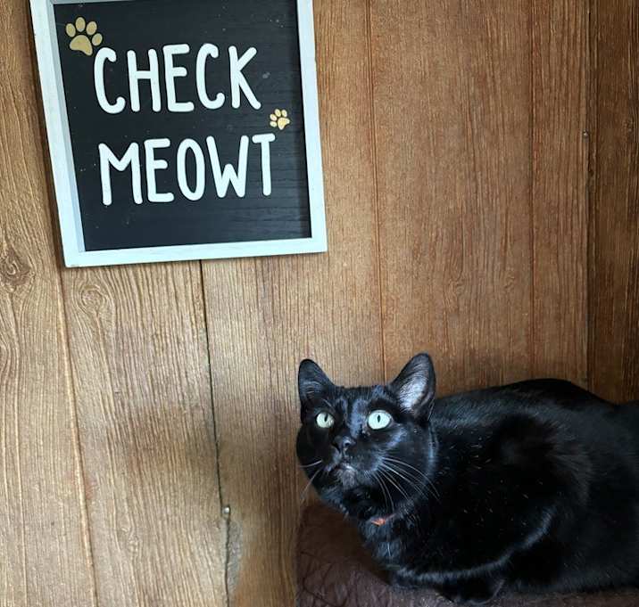Photo of BINKY