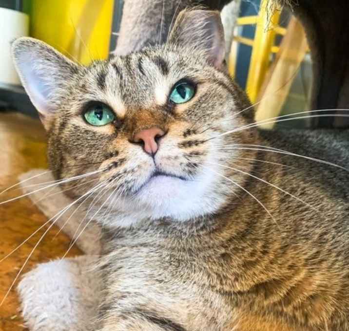 Photo of Rosie