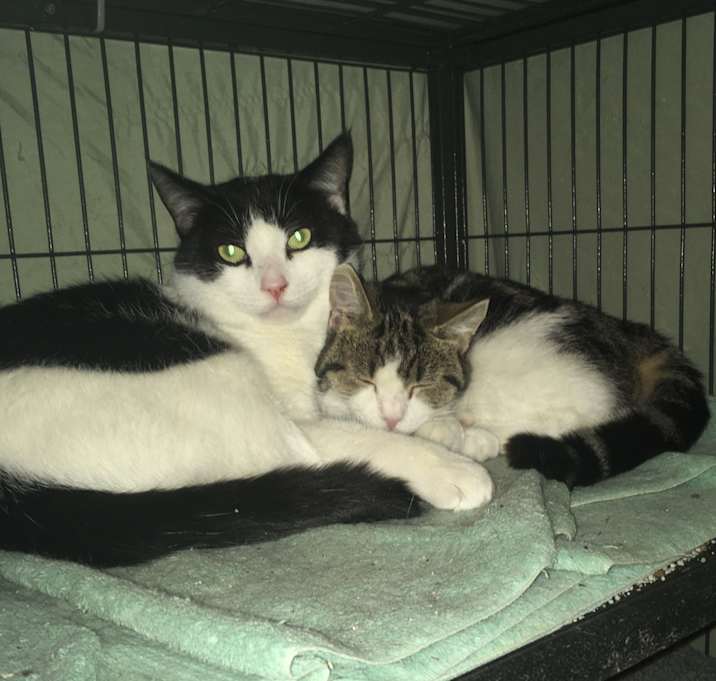 Photo of Nancy bonded with Brandon
