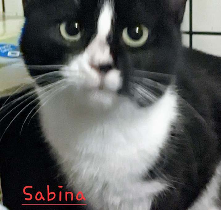Photo of Sabina