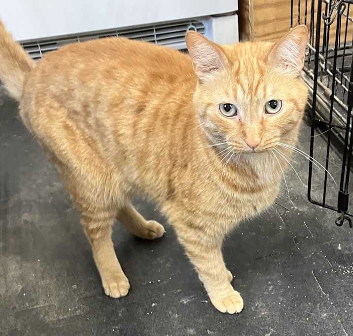 Photo of Casey