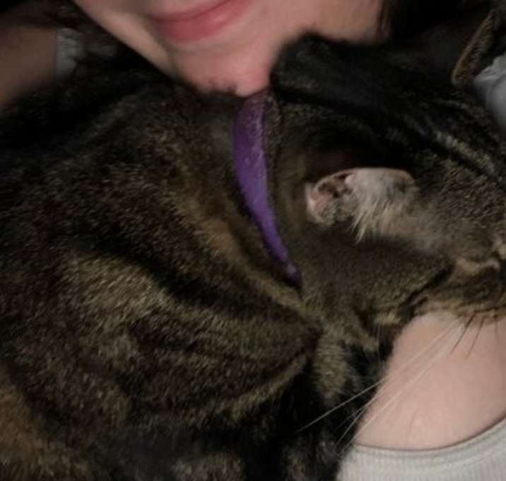 Photo of DUNKIN (COURTESY POST)