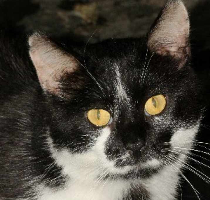 Photo of Bundy