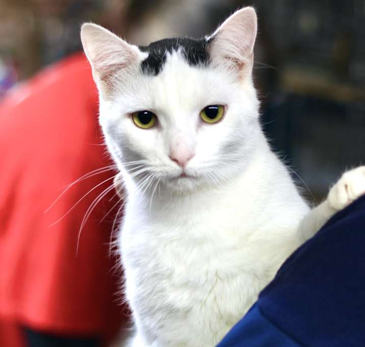 Photo of Duncan