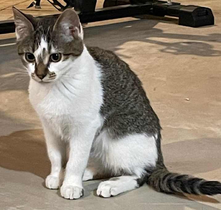 Photo of Ice