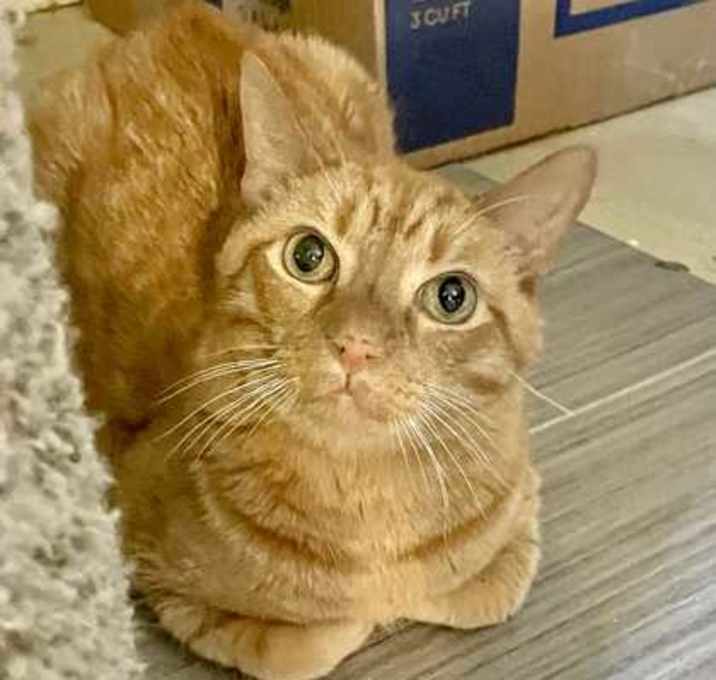 Photo of Rusty Martin