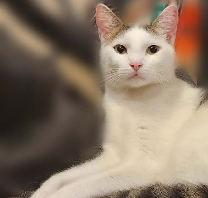 Photo of Simon