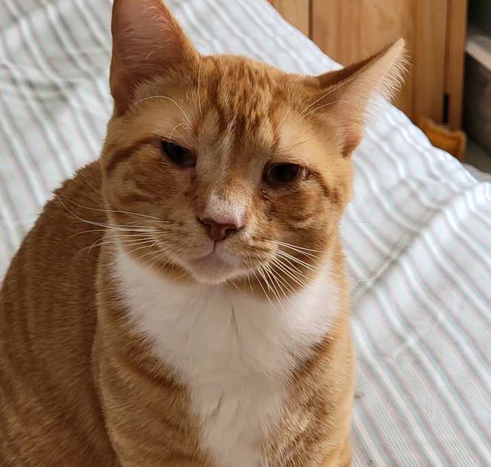 Photo of Finnegan