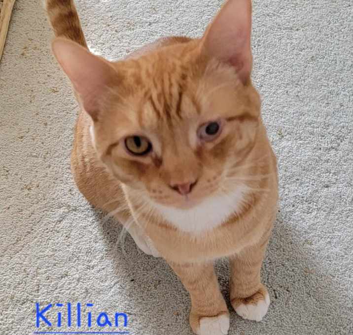 Photo of Killian