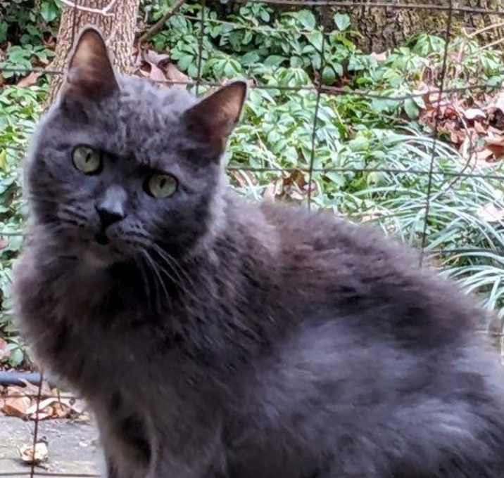 Photo of Rumple